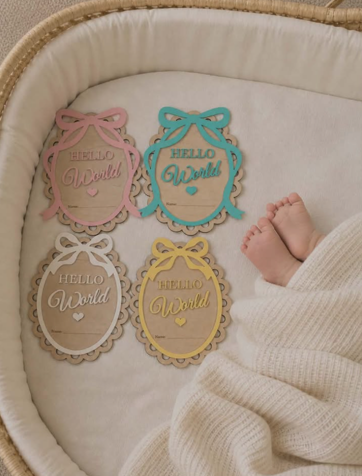 Hello World Newborn Plaque